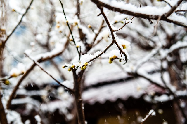 目标