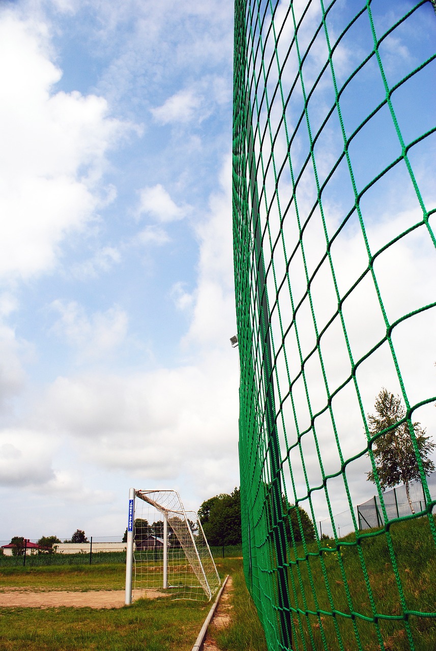 迅速提高了 迅速提高了