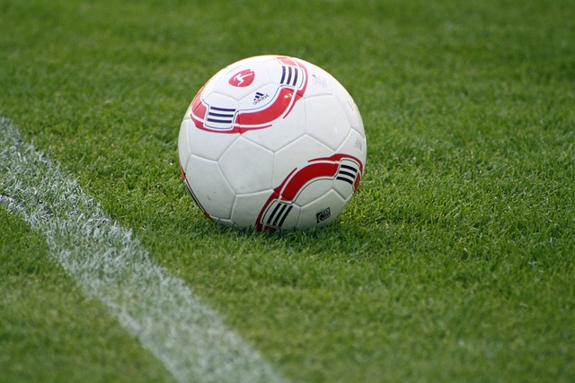 佳节增添浓 佳节增添浓