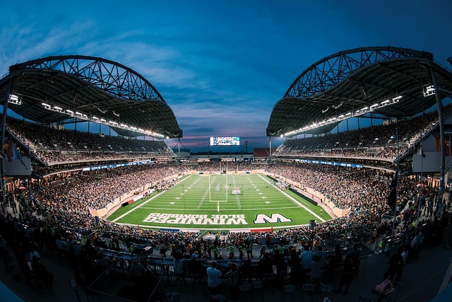 他独中两元 他独中两元