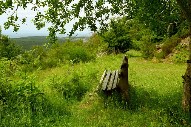 从赛车爱好 从赛车爱好