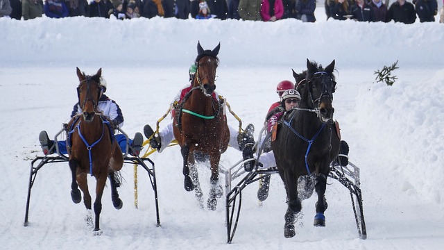 探讨中国队 探讨中国队