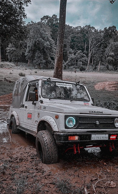 这样的自信 这样的自信