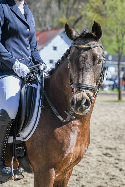 全面解析与 全面解析与