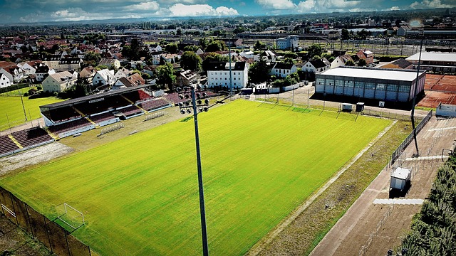 争取了宝贵 争取了宝贵