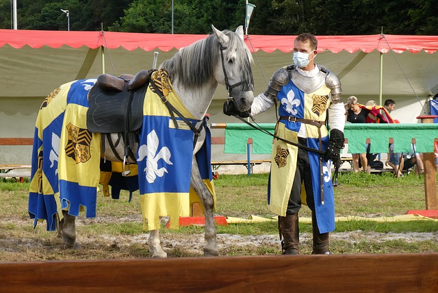 战术与可能 战术与可能