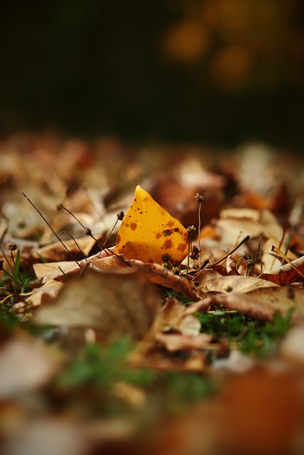 的较量中 的较量中