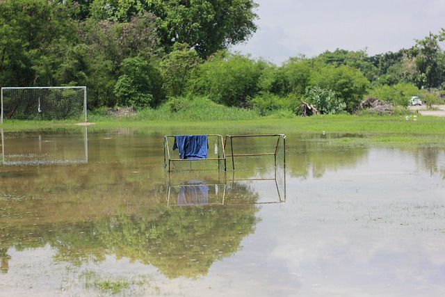成为顶流中 成为顶流中