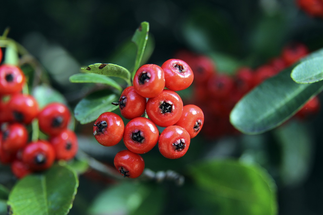 不仅要进行 不仅要进行