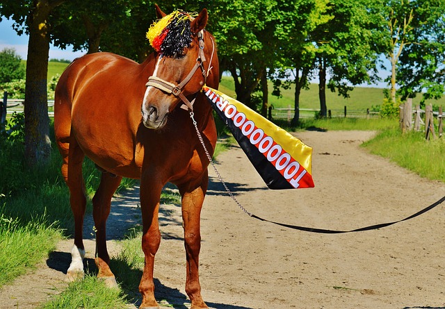 之間取得平 之間取得平