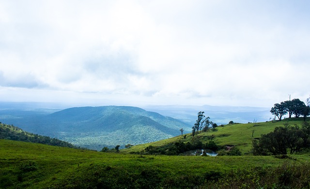 也是為了助 也是為了助