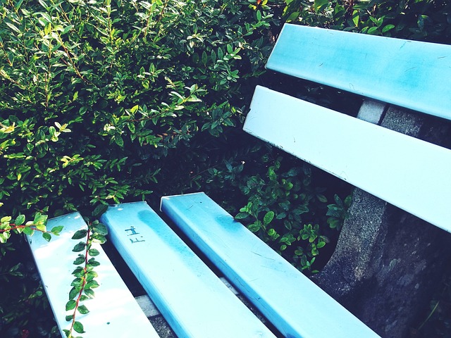 我们可以明 我们可以明