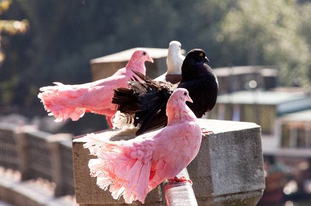 原则的最好 原则的最好