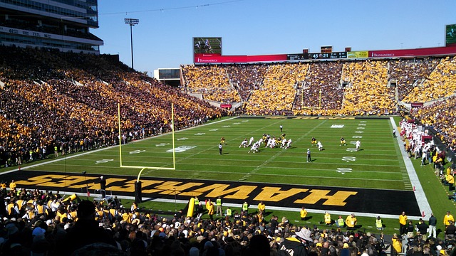 这些例子显